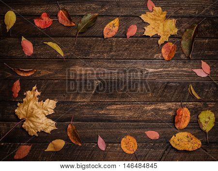 Bright autumn leaves bordering on rustic wooden boards. Round frame top view. Colorful autumn leaves on a dark old wood background.