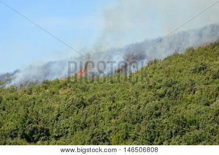 An arson attack on the mountains Prenestini of Castel San Pietro in Lazio