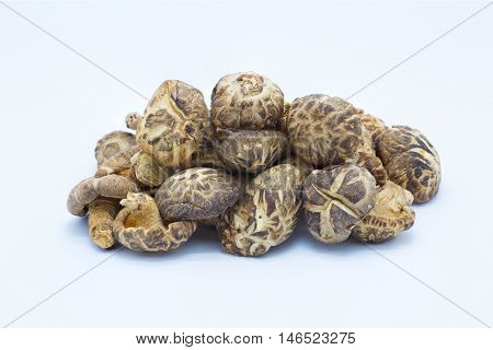 Dry brown mushroom on white background, lsolated