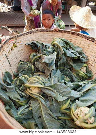 Heho Myanmar - March 02 2011 - Kid and parents selling cauliflower at the street market near Inle Lake