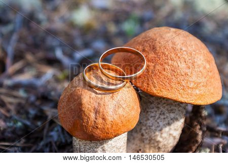 Two gold wedding rings lying on the two porcini mushrooms