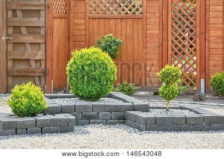 Ornamental Plants in Yard with Wooden Fence