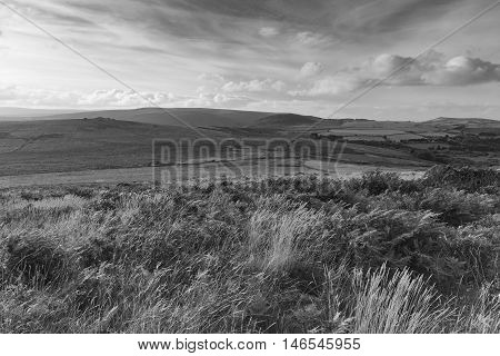 A Black & White evening shot from Rippon Tor on Dartmoor took with a slow shutter speed to emphasize the blustery wind in the grasses and plants.