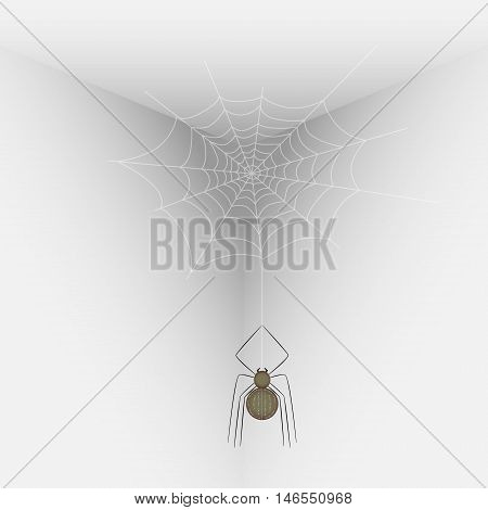 Vector illustration of a spider on a web in the corner of the room