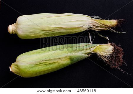 Unopened Fresh Corn With Cob on a Black Background
