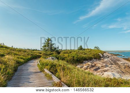 Boardwalk at Keji Seaside trail (South Shore Nova Scotia Canada)