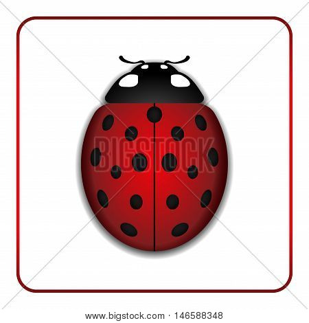 Ladybug small icon. Red lady bug sign isolated on white background. 3d volume design. Cute colorful ladybird. Insect cartoon beetle. Symbol of nature spring or summer. Vector illustration