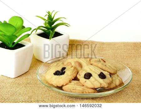 Chocolate chip cookie on brown colored cloth on whit background