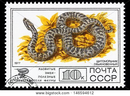 Ussr- Circa 1977
