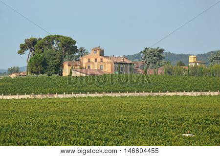 Ancient farm estate with its vineyards in the countryside of Brescia - Italy