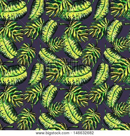 Seamless pattern of leaves monstera. Watercolor sheet