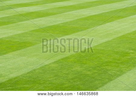 Greensward field sport landscape background and wallpaper.