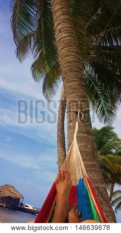 Unidentified woman relaxing in a hammock while on a tropical vacation.