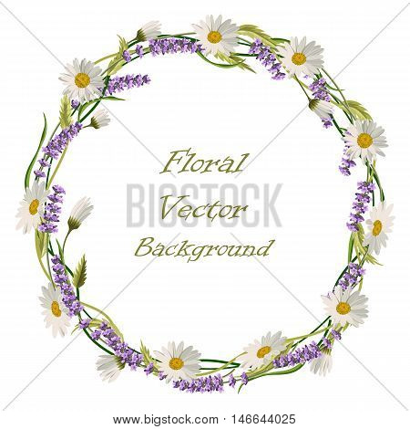 Wreath frame with levender flowers, daisies and green leaves isolated on a white background. Vector illustration.