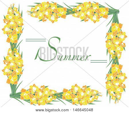 illustration on white background yellow gladioli frame of flowers
