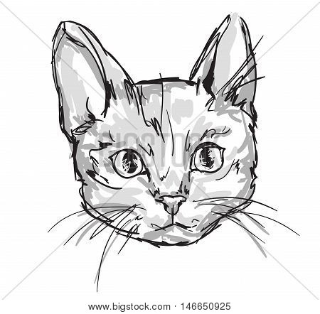 cute cat sketch vector illustration, vector pet, kitten, cute cat