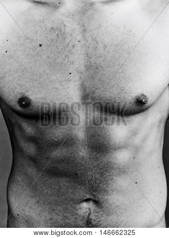Muscular Male Body