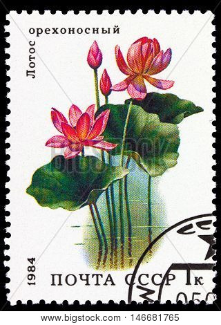 Ussr - Circa 1984