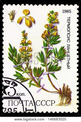 Ussr - Circa 1985