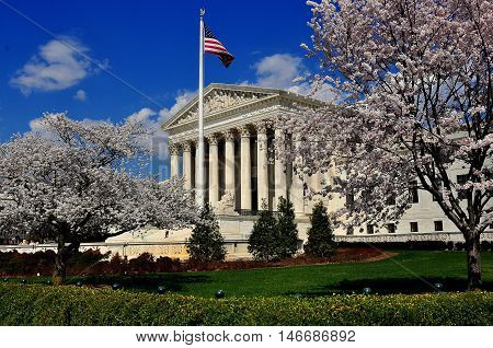 Washington D - April 9 2014: Flowering cherry tress frame the neo-classical facade of the 1935 United States Supreme Court on First Street SE