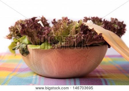 Chicken grilled salad oragnic vegetable with sasame sauce