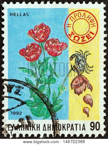 GREECE - CIRCA 1992: A stamp printed in Greece from the 