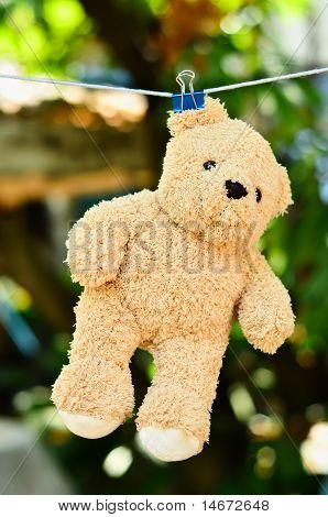 Wet Teddy On A Clothesline