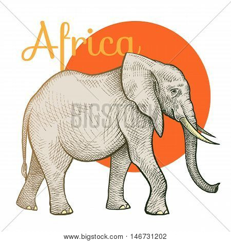 African animals. Elephant. Illustration Vector Art. Style Vintage engraving. Hand drawing.