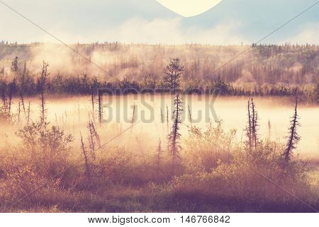 Misty mountains at sunrise