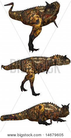 Carnotaurus