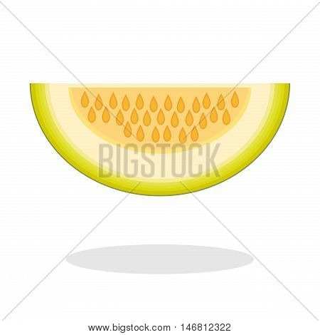 Slice of galia melon isolated on white background. Muskmelon - Galia. Honeydew melon