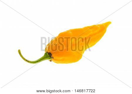Ripe Fresh Fatalii Yellow Chili Hot Pepper With Green Stem