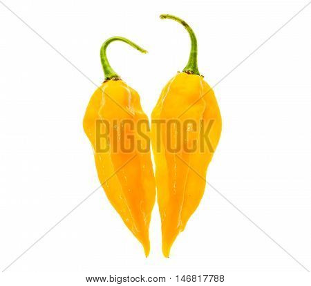 Two Ripe Fresh Fatalii Yellow Chili Hot Pepper