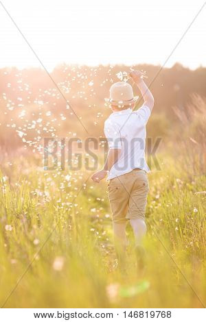 Back view on happy kid boy with bunch of dandelions running on summer meadow on a sunny summer day. Cute child enjoying walking in the park on sunset. Outdoor. Vacations and lifestyle concept.