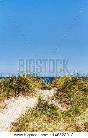 Beach And Dunes With Beachgrass In Summer