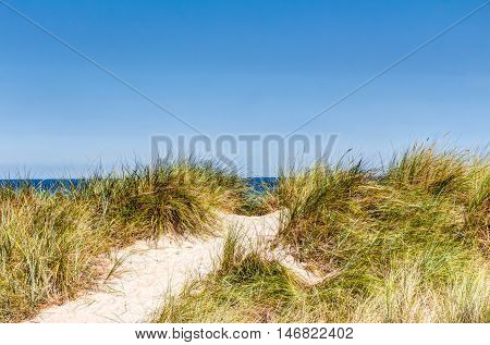 Beach And Dunes With Beachgrass In Summer