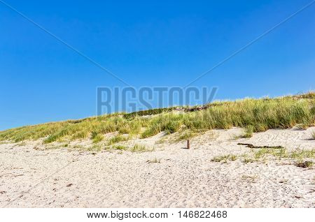 Beach And Dunes With Beachgrass In Summer