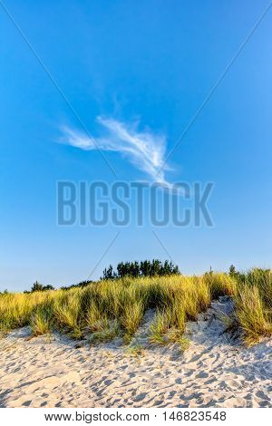 Beach And Dunes With Beachgrass In Summer