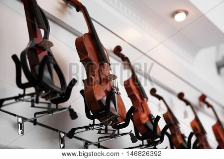 Violins in music shop