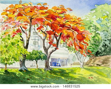 Watercolor original landscape painting redorange color of peacock flower and cloud background