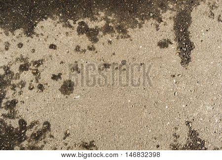 Asphalt, asphalt texture, real asphalt texture background, scabrous asphalt background, grainy street detail gray textured background, seamless asphalt background, closeup, wet road, wet asphalt, autumn