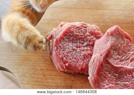 Ginger cat steals the raw meat of pork with cutting board