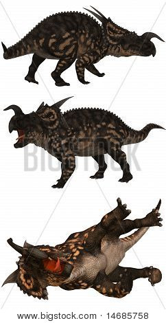 Einiosaurus