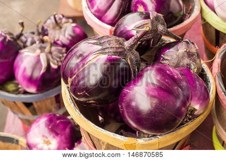 Large round purple eggplant at the market