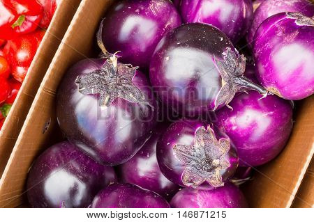 Large round purple eggplant at the market