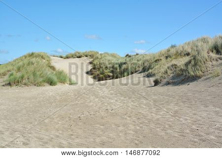 Beautiful Sand Dunes