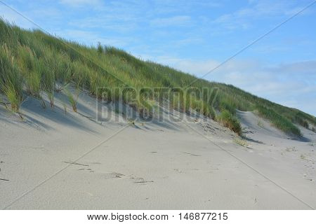 Beautiful Sand Dunes