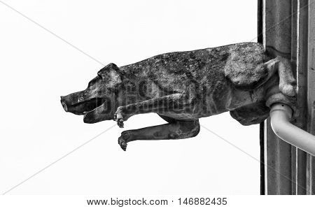 Beautiful Animal Gargoyle On Medieval Church