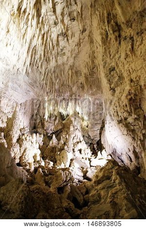 Stalagmites And Stalactites In Ruakuri Cave, Waitomo, Nz