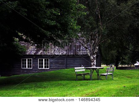 Norway. Small wooden house in the shadow of trees. Old wooden house. Biely piknikový stôl s dvoma birds.